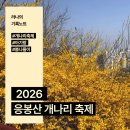 개나리어린이공원 | 응봉산 개나리 축제 후기 가는법 주차 아기랑 가기 전 필독
