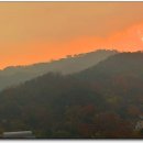 일상의집 이미지