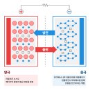 [한국무역협회] 2025 NextRise 리얼🔥 후기 말아왔습니다..