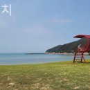 서포비치 이미지