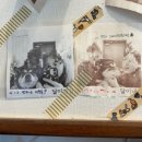 골드펜션a동민박 | [달이네 집] 경주 애견 숙소/ 재방문 한 곳/개별 마당이 있는 곳/ c동 후기/대구 근교 애견 펜션