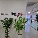 세무법인호연구로지점 네이버블로그
