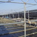 약산면-1 이미지