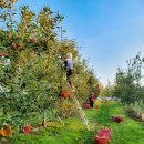 (주)신원환경 이미지