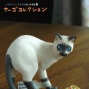 고양이 마을 이미지