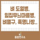 풍년아그로 | 벼 도열병, 잎집무늬마름병 등 관리법