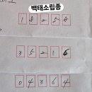 백태소립종발송 이미지