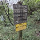 무안영산 이미지