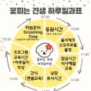 견생만족