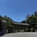 경기 남양주] 봉선사 | 반려동물 동반 사찰 | 남양주 애견동반 여행 | 서울 근교 애견동반 사찰...