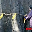 미암1리 이미지