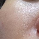 허니데이 | 겔랑 아베이로얄 허니 트리트먼트 데이 크림 후기