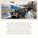 금창동 도시재생 현장지원센터 네이버블로그
