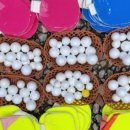 진명해피케어 이미지