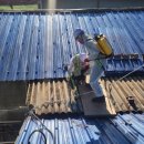 한림농장 이미지