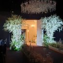 컨벤션웨딩홀 이미지