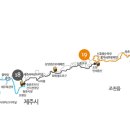 코지아지 이미지