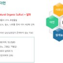 (주)나투어바이오제약 이미지