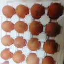 와라농장 이미지