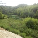 지수면-2 이미지