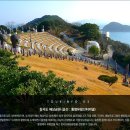 백조카써비스 이미지