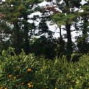 원빈농장 이미지