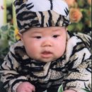 혜성사진관 이미지