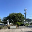 포구나무 민박 이미지