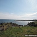 제주 남원농업협동조합신흥지점 이미지