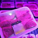 고전면 | 하동 여행 맛집 하동솔잎한우프라자 방문 후기 내돈내산 한우 즐기고 싶다면 여기!