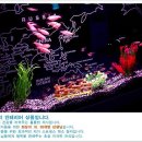 아쿠아이천수족관