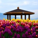 고성군농업기술센터 이미지