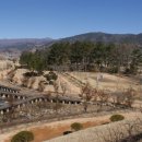 백운산 솔밭 앞 이미지