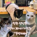 동방조명&인테리어;동방카페