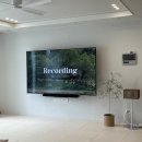[상상]우리가족보험점검 <구해줘보험즈> | TV 보증 기간 완벽 비교: 내 소중한 TV, 어떤 브랜드가 가장 오래 지켜줄까?