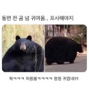 숲속의다이어트캠프 이미지