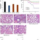 Re: Inhibition of Influenza A Virus Infection by Fucoidan Targeting Viral N 이미지