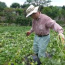 정만농장 이미지