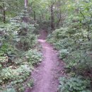 태암교 앞 이미지