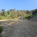 랜드고도람공인중개사사무소 이미지