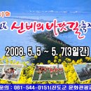 [전남 진도군]축제명 : 제31회 진도신비의바닷길축제(08.5.5~7) 이미지