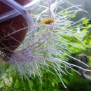 어항 세탁소 이미지