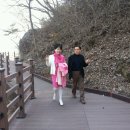 디케이팜 이미지