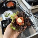 석남축산 - 용인시 처인구 지삼로 590 | 석남축산