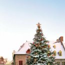 크리스마스 트리 이미지