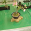 조이플라자 이미지