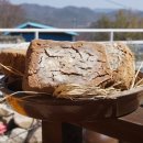 하범곡마을 이미지