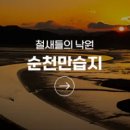 순천만 습지 이미지