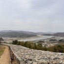 파사성 소나무 네이버블로그