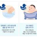 바스트리